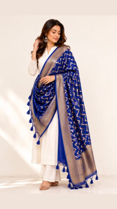 ✨ Royal Blue Banarasi Zari Dupatta ✨